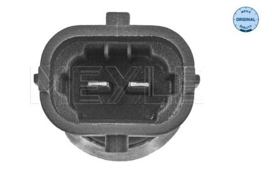 Sensor de temperatura, Imagen 2