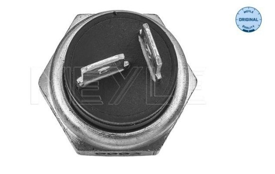 Sensor de temperatura, Imagen 2