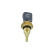 Sensor de temperatura, Miniatura 3
