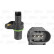 Sensor del árbol de levas BMW 253809 Valeo
