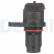 Sensor del árbol de levas SS11146 Delphi, Miniatura 2
