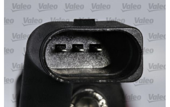 CAPITÃ?N VILEBREQUIN VW GOLF V 1.9 TDI, Imagen 2