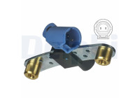 POSICIÓN DE CAPTURA DE VILEBREQUIN SS11012 Delphi