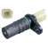 Sensor del cigüeñal ADN17247 Blue Print