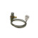 Sensor del cigüeñal DG-6-K Bosch, Miniatura 4