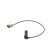 Sensor del cigüeñal DG Bosch