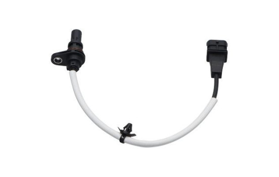 Sensor del cigüeñal ECR-3054 Kavo parts, Imagen 3