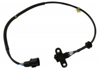 Sensor del cigüeñal ECR-5503 Kavo parts