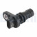 Sensor del cigüeñal SS12368-12B1 Delphi
