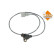 Sensor del cigüeñal