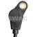 Sensor del cigüeñal, Miniatura 2