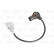 Sensor de cigüeñal VAG SEAT SKODA VW, Miniatura 2