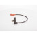 Sensor del cigüeñal DG Bosch, Miniatura 4