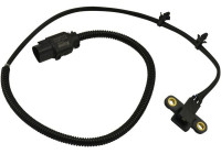 Sensor del cigüeñal ECR-3012 Kavo parts
