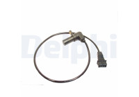 Sensor del cigüeñal SS10806 Delphi