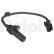 Sensor del cigüeñal SS11307 Delphi, Miniatura 2