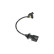 Sensor del cigüeñal, Miniatura 4