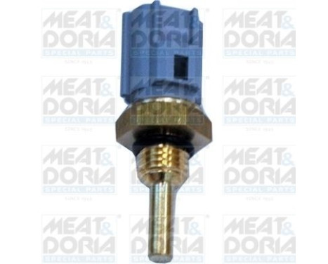 Sensor de temperatura del refrigerante