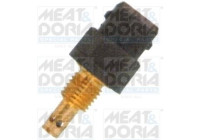 Sensor, temperatura del aire entrante
