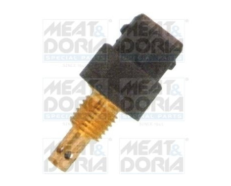 Sensor, temperatura del aire entrante