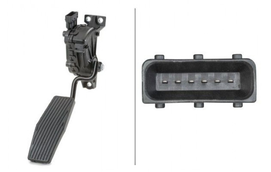 Sensor, accelerator pedal position