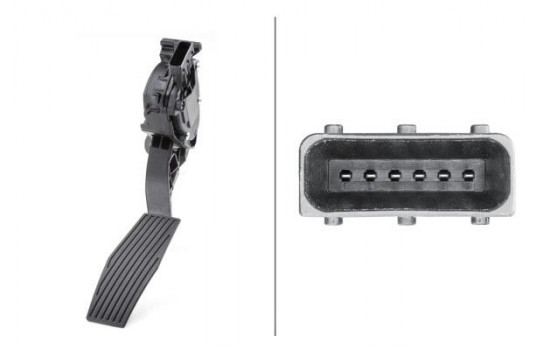 Sensor, accelerator pedal position