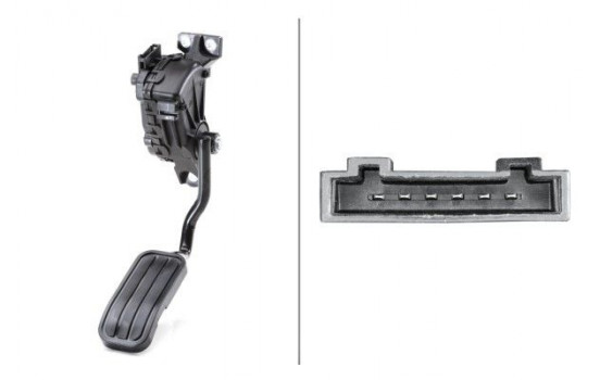 Sensor, accelerator pedal position