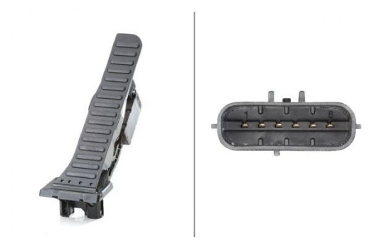 Sensor, accelerator pedal position