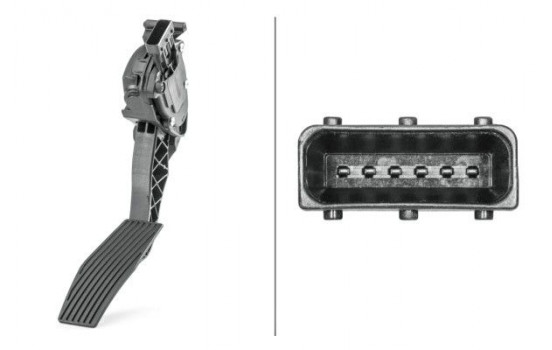 Sensor, accelerator pedal position