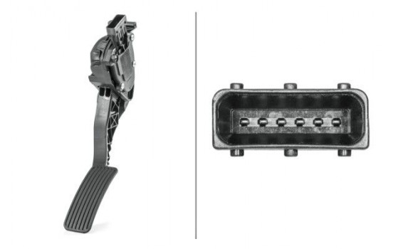 Sensor, accelerator pedal position