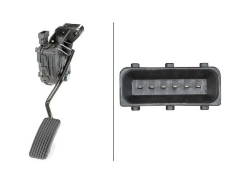 Sensor, accelerator pedal position