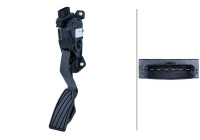 Sensor, accelerator pedal position