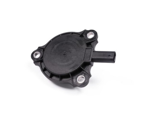 Central Magnet, Camshaft Control, Image 2