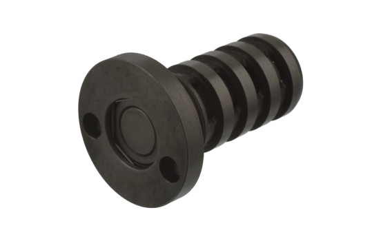 Central Valve, camshaft adjustment 40201 FEBI