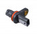Sensor, camshaft position ADG07298 Blue Print