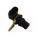 Sensor, camshaft position ECA-1013 Kavo parts, Thumbnail 2