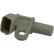 Sensor, camshaft position ECA-5503 Kavo parts