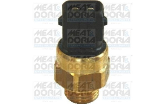 Temperature Switch, coolant warning lamp