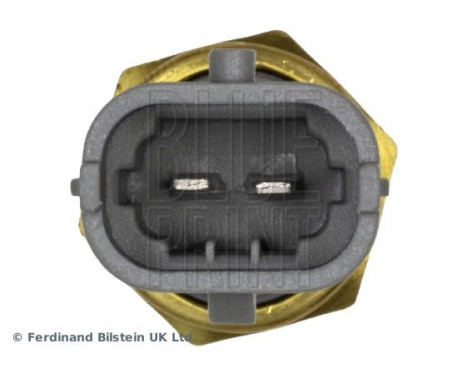 Coolant temperature sensor ADBP720036 Blue Print, Image 2