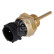 Sensor, coolant temperature 186106 FEBI, Thumbnail 2
