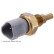 Sensor, coolant temperature ADK87217 Blue Print, Thumbnail 3