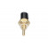 Sensor, coolant temperature, Thumbnail 4