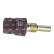 Sensor, coolant temperature, Thumbnail 2