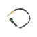 Sensor, coolant temperature, Thumbnail 2