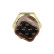 Sensor, coolant temperature