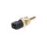 Sensor, coolant temperature, Thumbnail 3