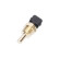 Sensor, coolant temperature, Thumbnail 5