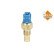Sensor, coolant temperature, Thumbnail 5