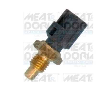 Sensor, fuel temperature