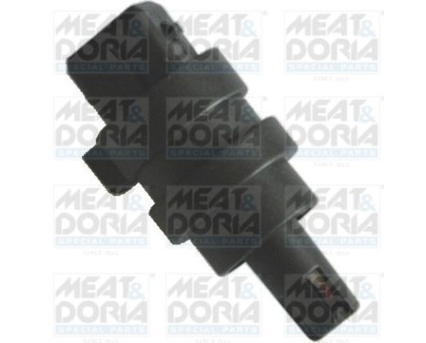 Sensor, intake air temperature